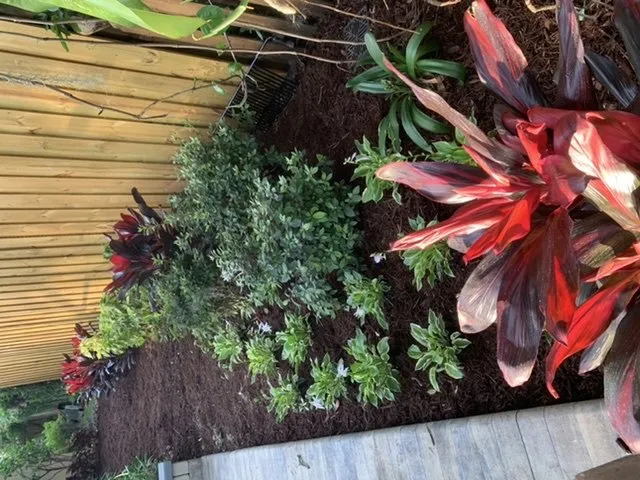 Professional lawn mowing service with custom design in Brandon, FL by Groundscapes