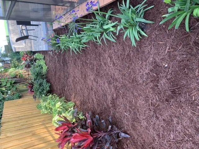 Custom landscape design for year-round maintenance in Brandon, FL by Groundscapes