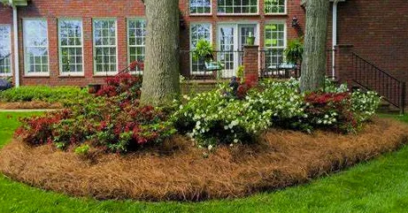 Local yard maintenance experts serving Lexington, SC - Groundscapes Maintenance & Design