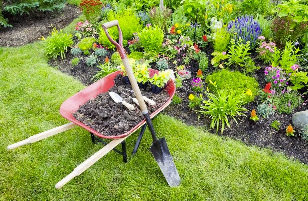 Affordable yard maintenance for residential properties across Lexington, SC - Groundscapes Maintenance & Design