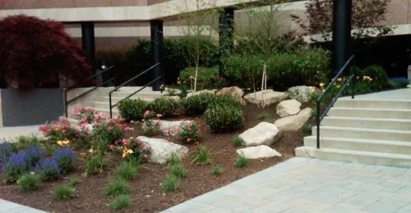 Reliable yard maintenance experts serving Somerville, NJ - GroundsCare Landscape