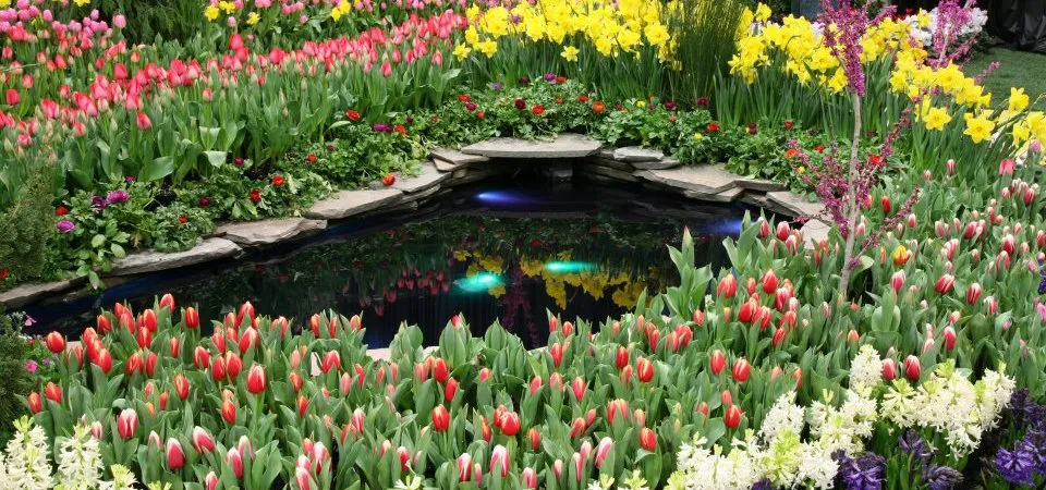 Affordable landscaping services in Somerville, NJ by GroundsCare Landscape