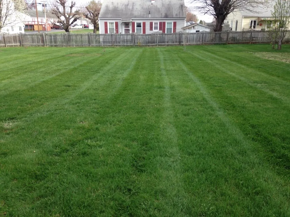 Top-rated lawn care service experts serving Elkton, VA - GroundServ