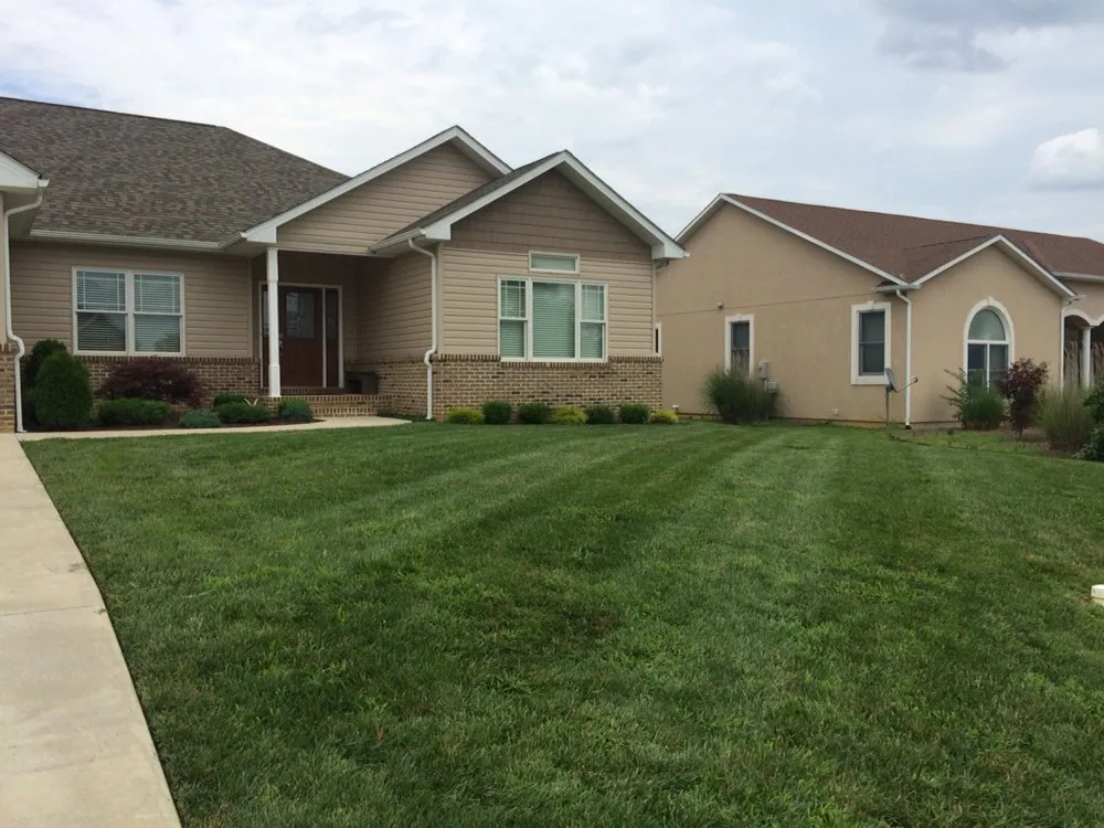 Reliable yard cleanup service for year-round maintenance across Elkton, VA - GroundServ