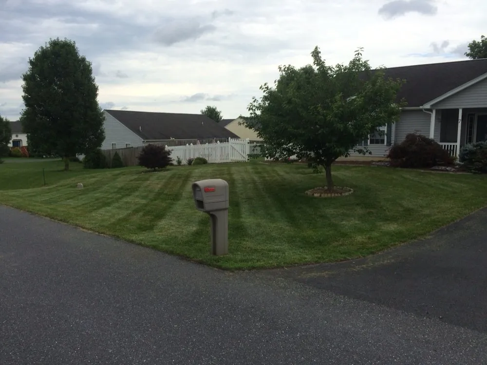 Reliable lawn mowing service in Elkton, VA by GroundServ