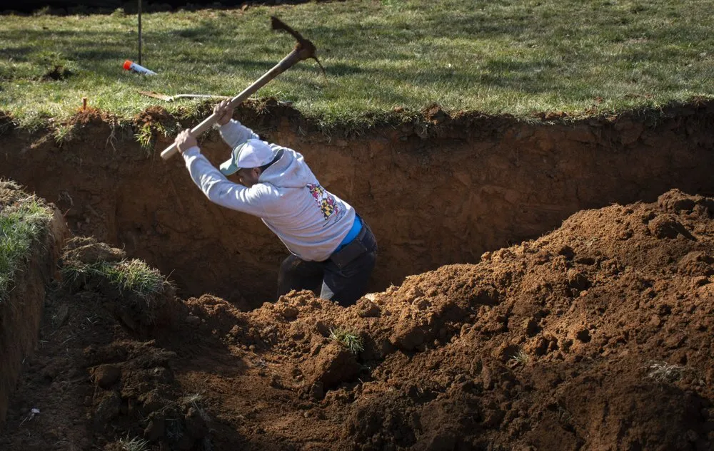 Local residential landscaping in Baltimore, MD - Groundshog Landscaping