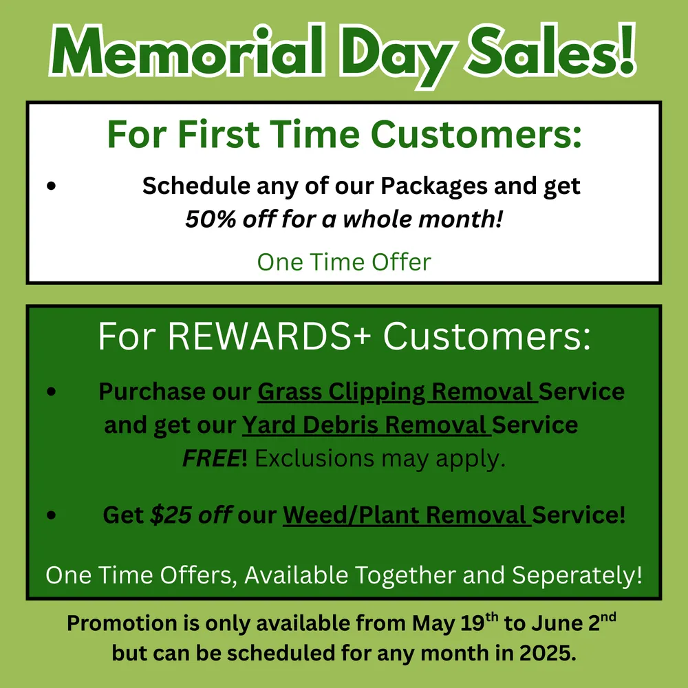 Top-rated yard cleanup service in Villa Park, IL - Groundskeeper General