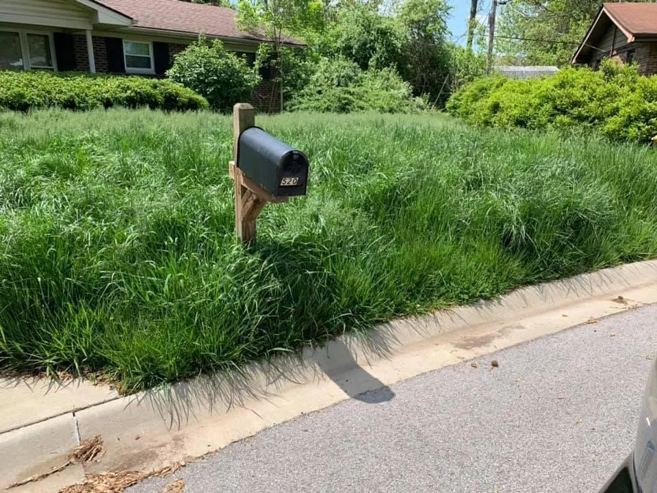 Affordable yard maintenance for outdoor upgrades across Shiloh, IL - GroundsKeeper Lawn & Landscape