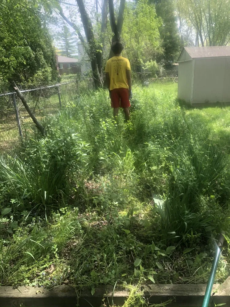 Affordable lawn care service in Canton, MI - Groundsmen