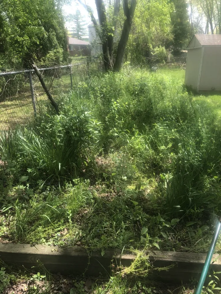 Affordable landscape installation in Canton, MI by Groundsmen