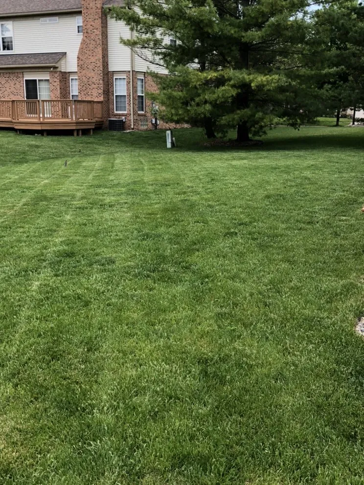 Professional landscaping services in Canton, MI - Groundsmen