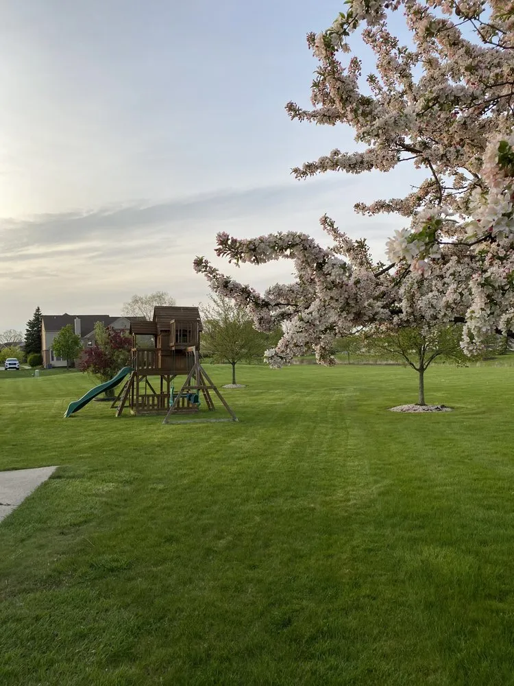 Reliable yard cleanup service in Canton, MI - Groundsmen