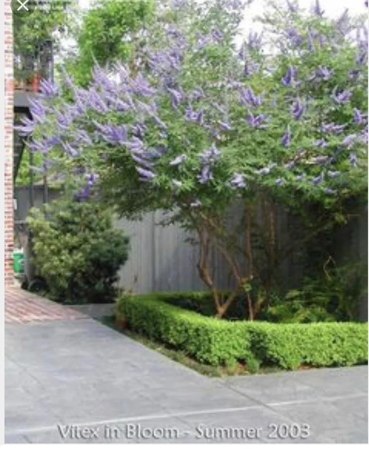 Top-rated landscaping services in League City, TX - Groundstar Landscape