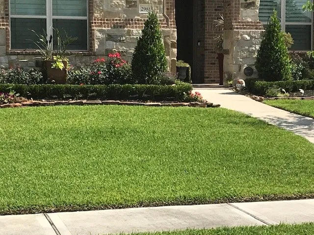 Reliable yard cleanup service in League City, TX - Groundstar Landscape