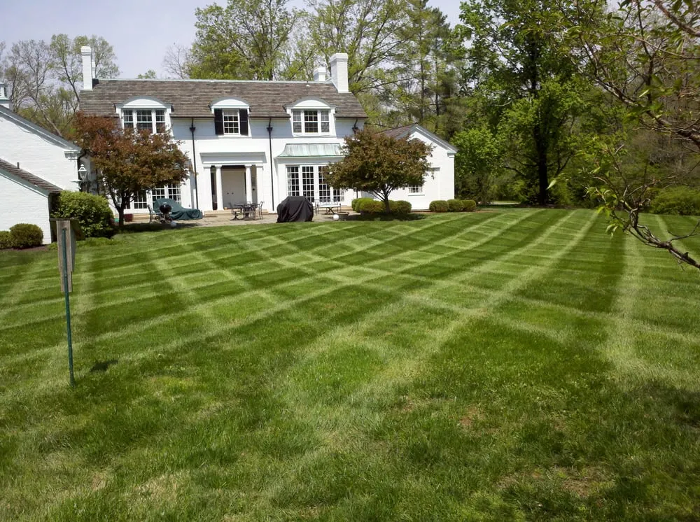 Top-rated lawn care service in Hamilton, OH by Groundstech Landscape Service