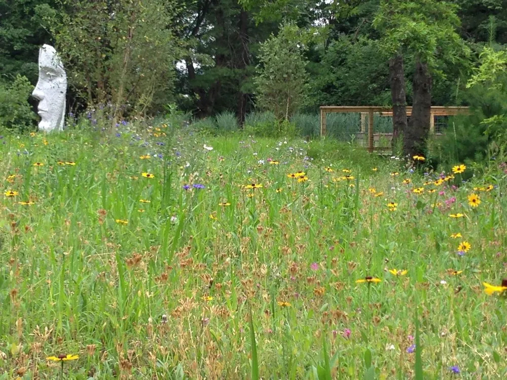 Local lawn care service for outdoor upgrades in Jamestown, RI by GroundSwell Designs