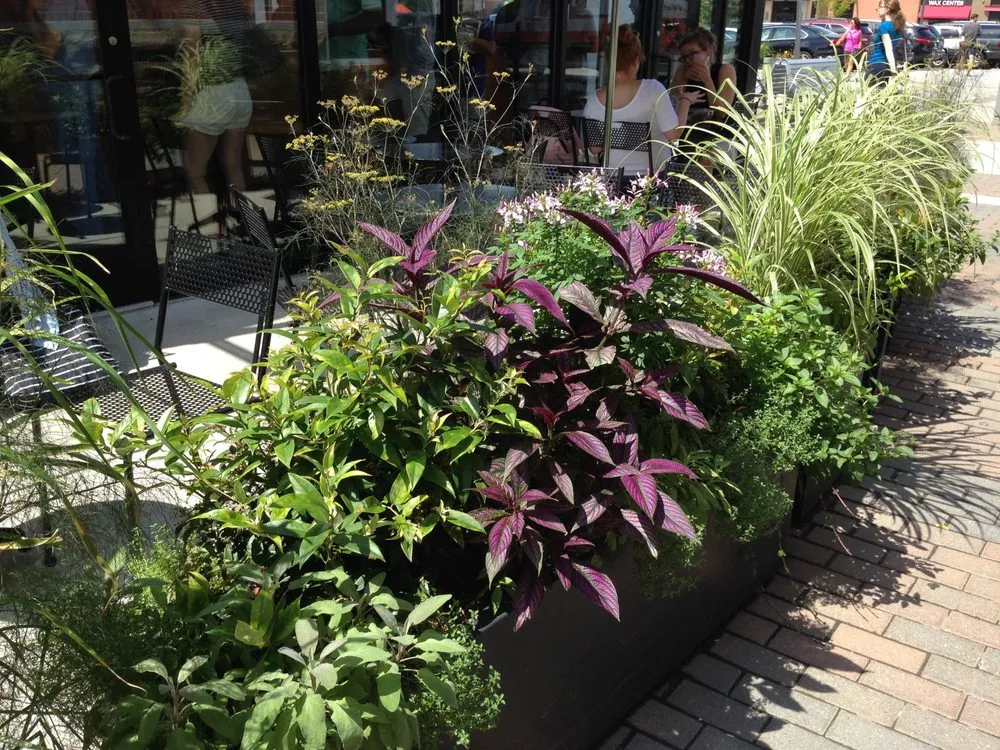 Custom yard maintenance in Boston, MA - Groundswell Gardens