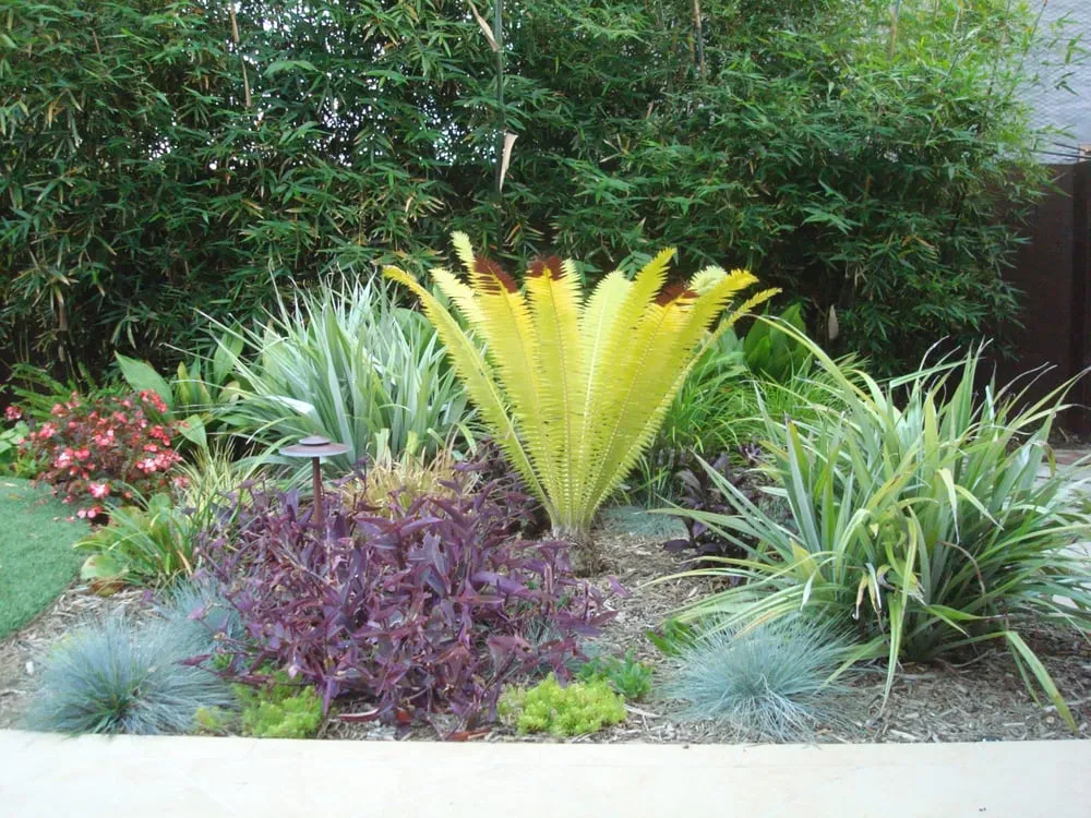 Professional residential landscaping for beautiful yards across Encinitas, CA - Groundswell Landscaping