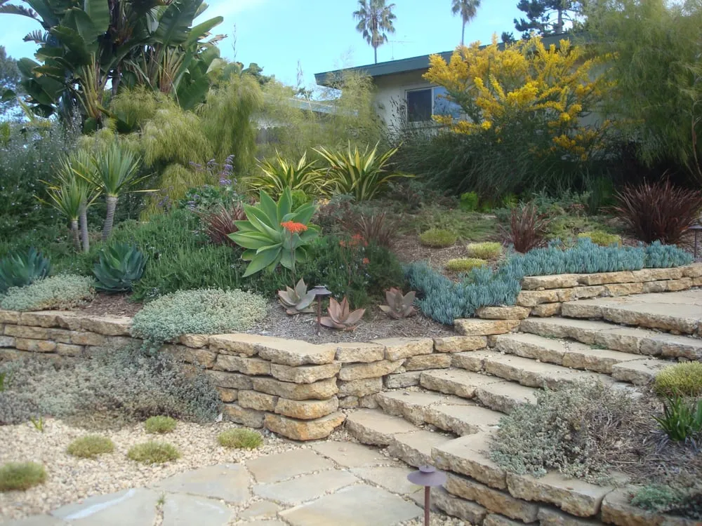 Trusted yard cleanup service for homes across Encinitas, CA - Groundswell Landscaping