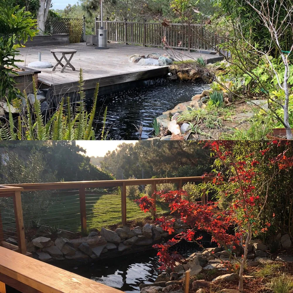 Local yard cleanup service near you in Encinitas, CA by Groundswell Landscaping