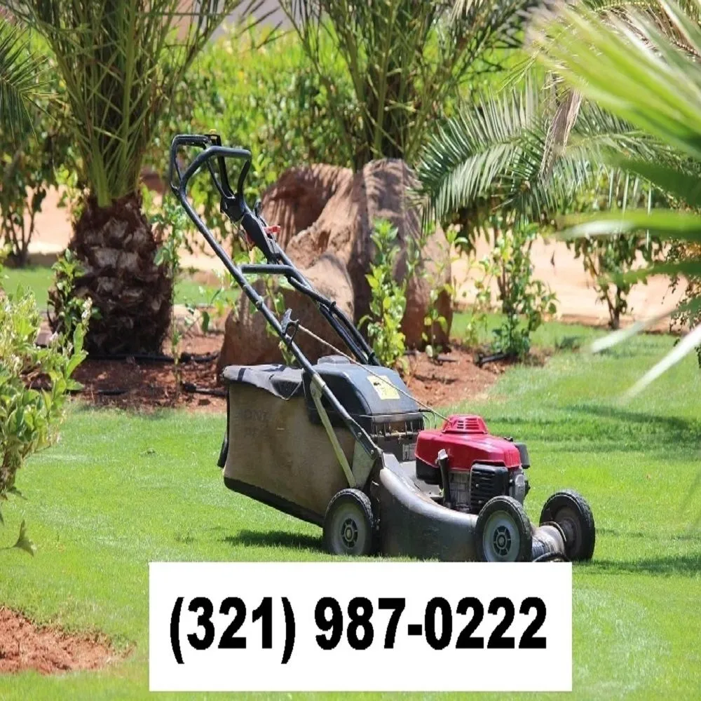 Local outdoor landscaping for beautiful yards in Merritt Island, FL by Groundswell Lawn Care