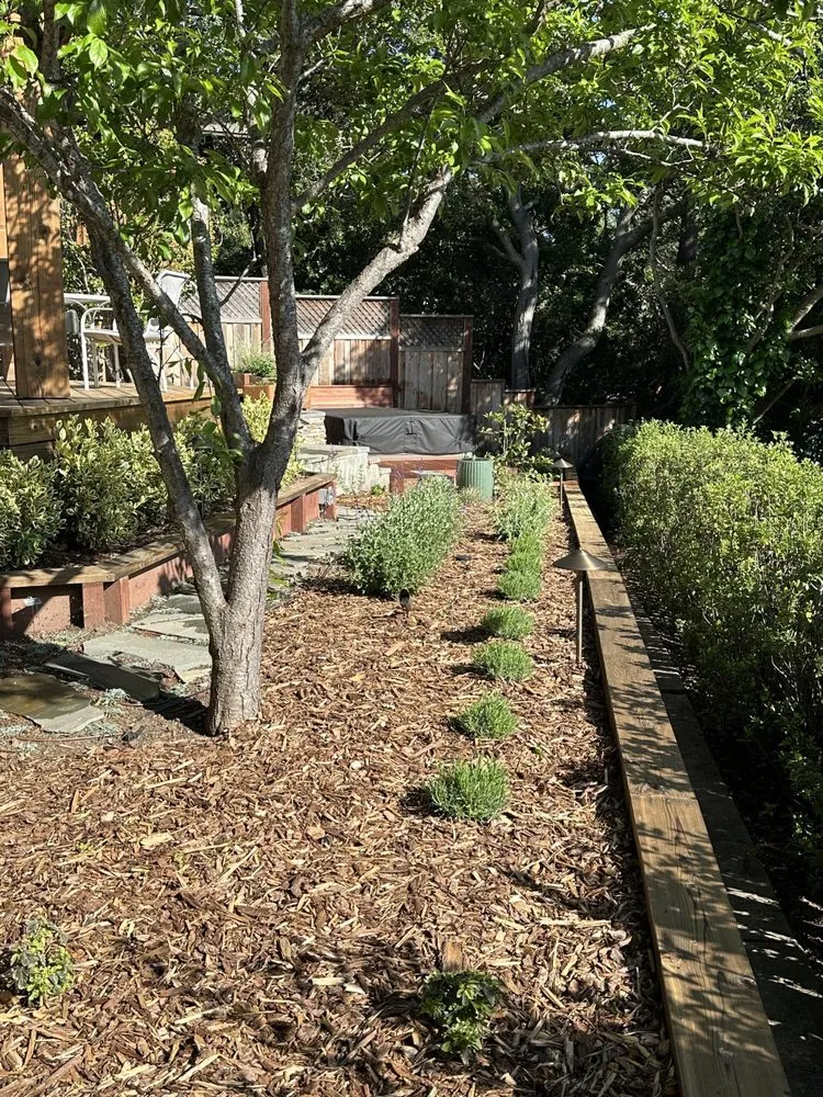 Trusted lawn care service experts serving San Carlos, CA - Groundwork Outdoor Living