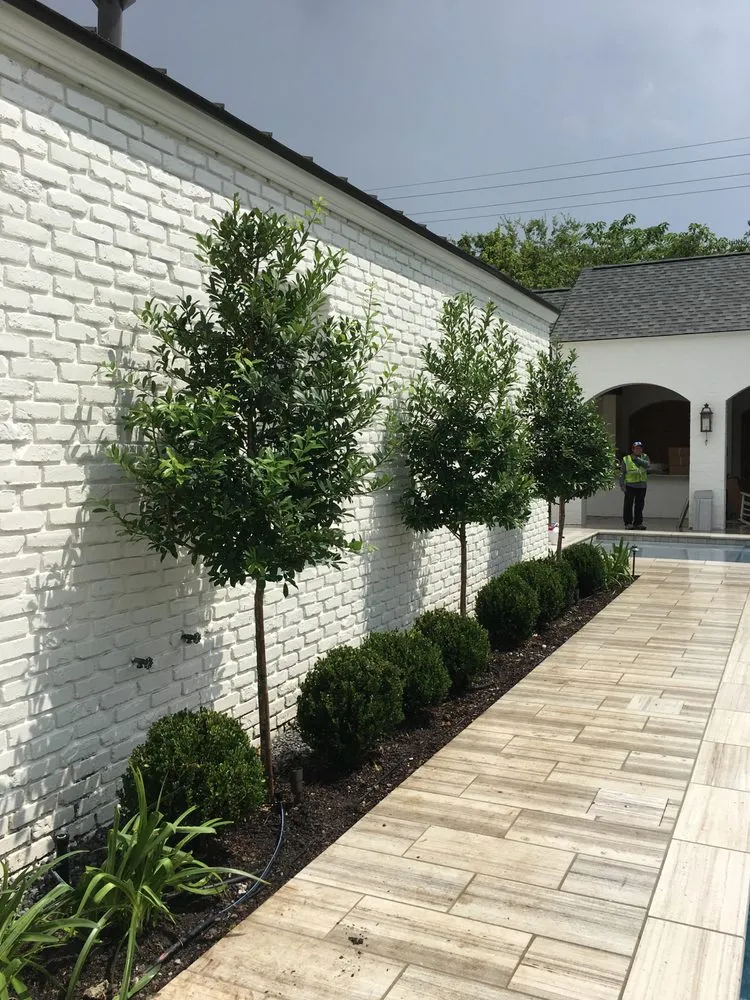 Trusted lawn care service in Baton Rouge, LA by GroundWorks