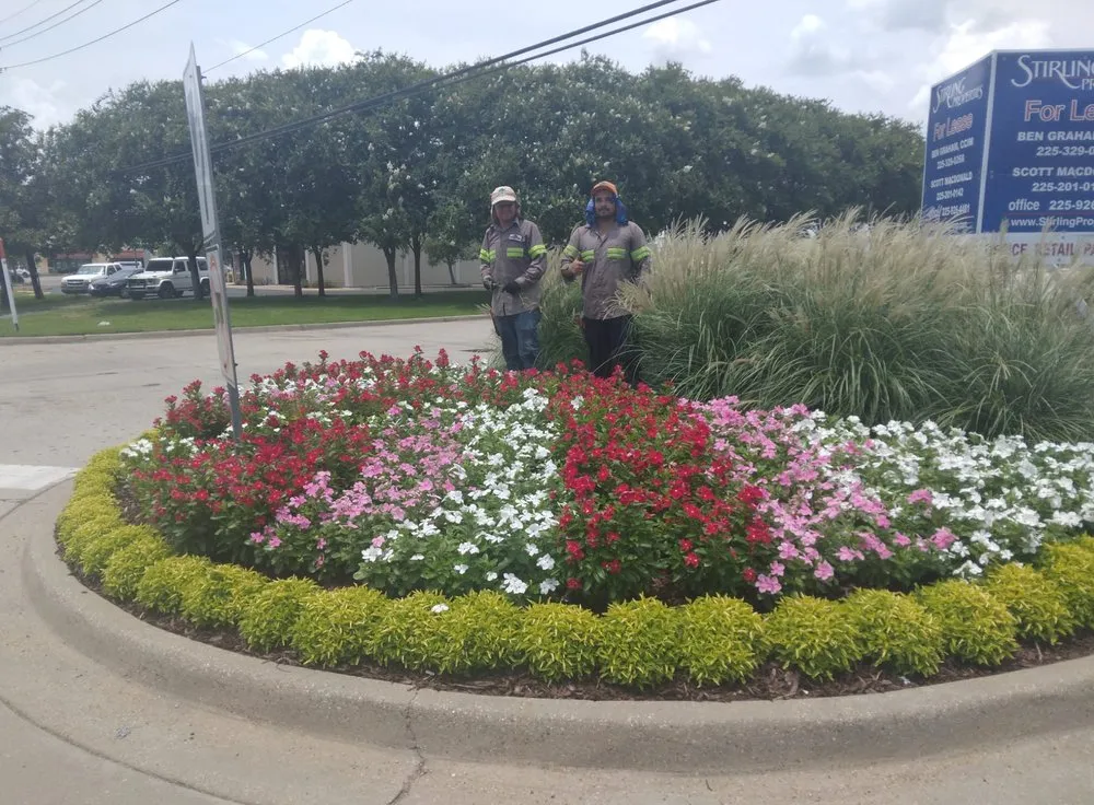 Local lawn care service experts serving Baton Rouge, LA - GroundWorks