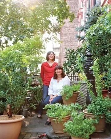 Affordable residential landscaping for residential properties in Brooklyn, NY by Groundworks