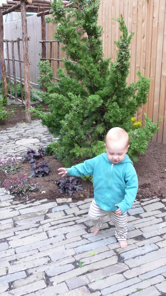 Local lawn care service in Brooklyn, NY by Groundworks