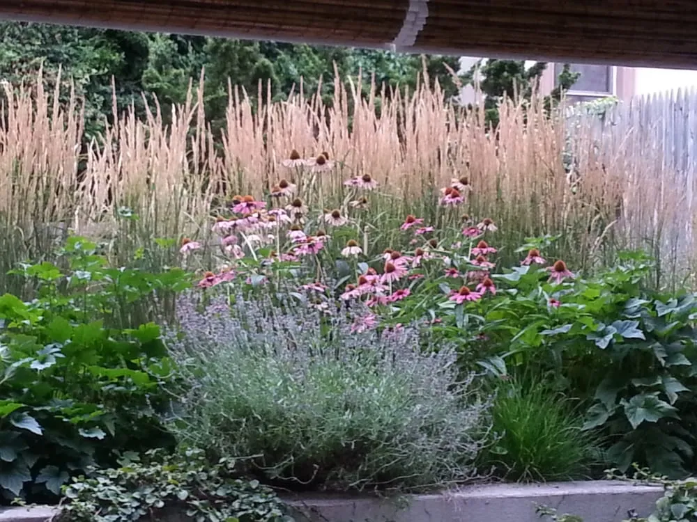 Reliable yard cleanup service for residential properties across Brooklyn, NY - Groundworks