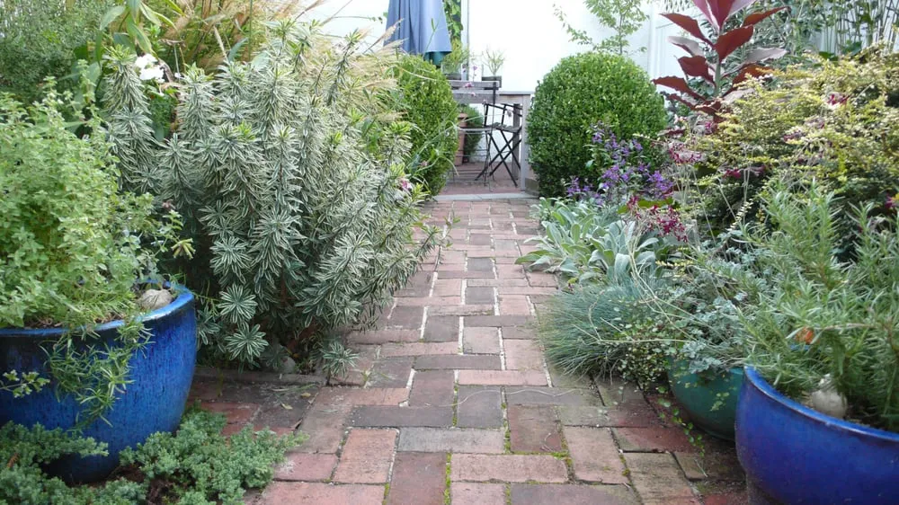 Professional lawn care service experts serving Brooklyn, NY - Groundworks