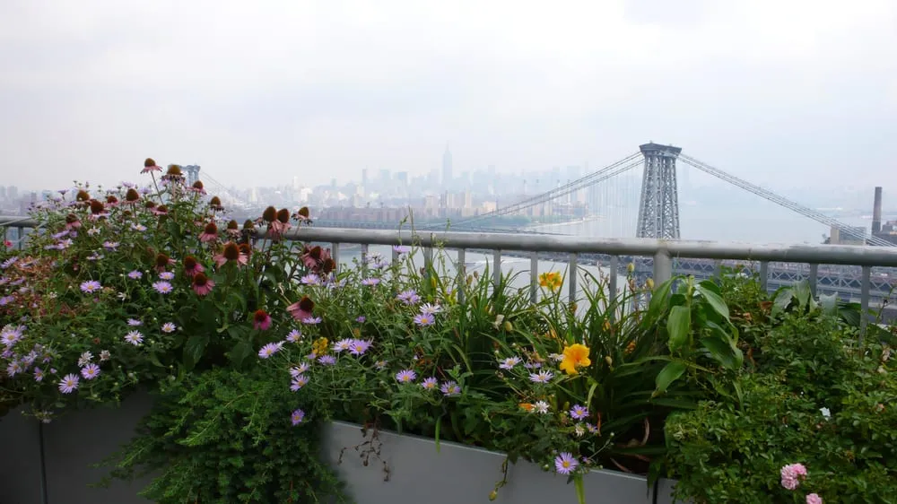 Professional landscape design experts serving Brooklyn, NY - Groundworks
