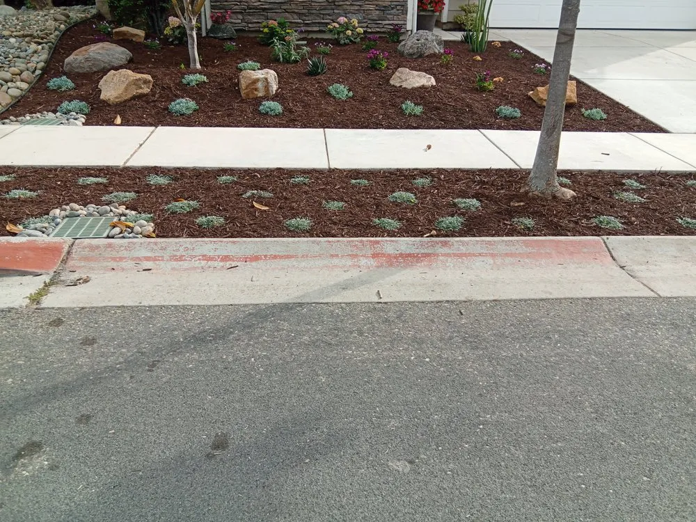 Custom yard cleanup service in San Luis Obispo, CA by Groundworks Landscape Co