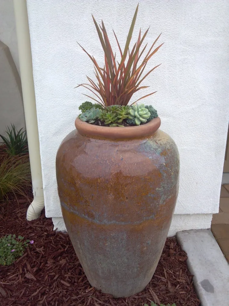 Expert lawn care service experts serving San Luis Obispo, CA - Groundworks Landscape Co