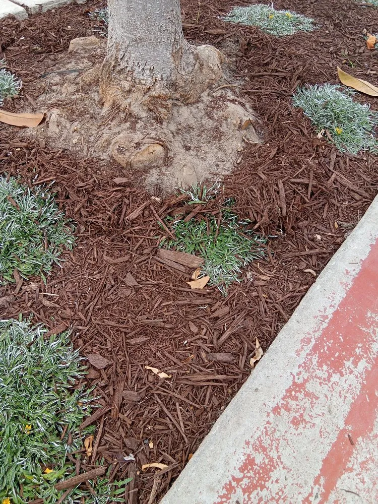 Expert lawn mowing service in San Luis Obispo, CA - Groundworks Landscape Co