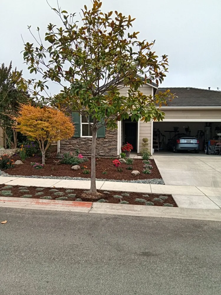 Custom residential landscaping experts serving San Luis Obispo, CA - Groundworks Landscape Co