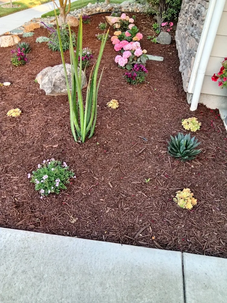 Expert lawn care service experts serving San Luis Obispo, CA - Groundworks Landscape Co