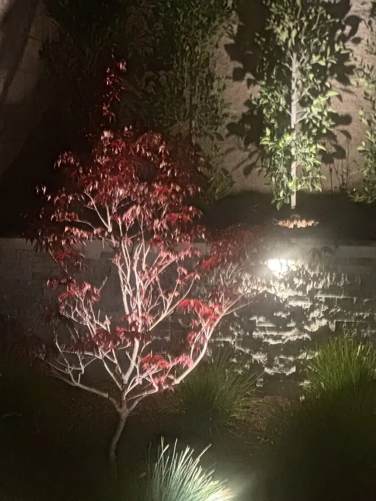 Top-rated residential landscaping for beautiful yards across San Luis Obispo, CA - Groundworks Landscape Co