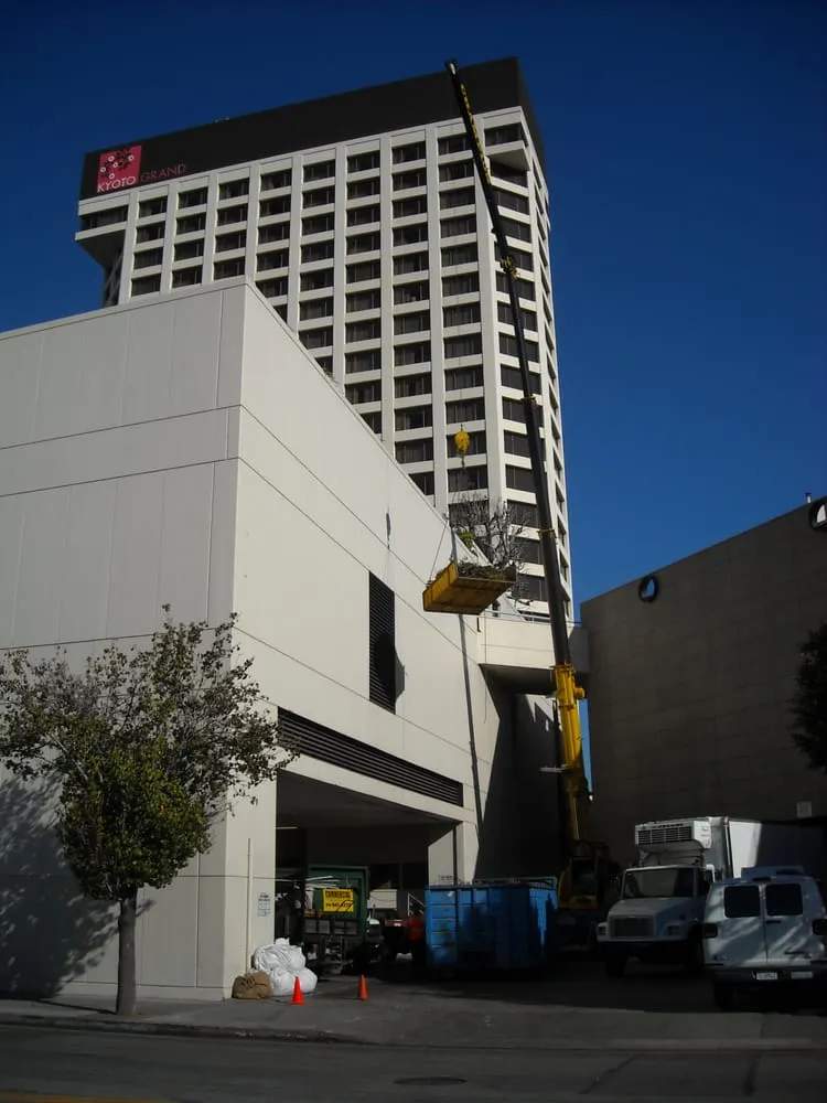 Affordable landscape installation for homes across Torrance, CA - Groundworks Landscape