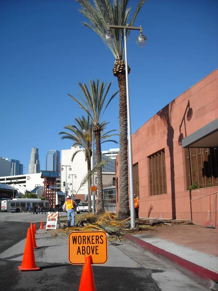 Top-rated landscape installation experts serving Torrance, CA - Groundworks Landscape