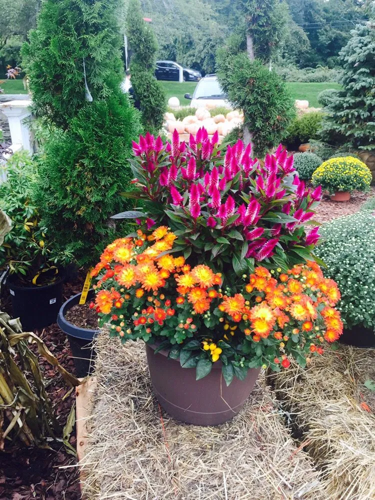 Custom landscape design for year-round maintenance across East Hampton, NY - Groundworks Landscaping