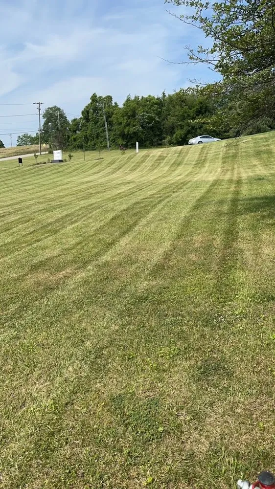 Professional yard cleanup service for year-round maintenance in Irwin, PA by Groundworks Landscaping