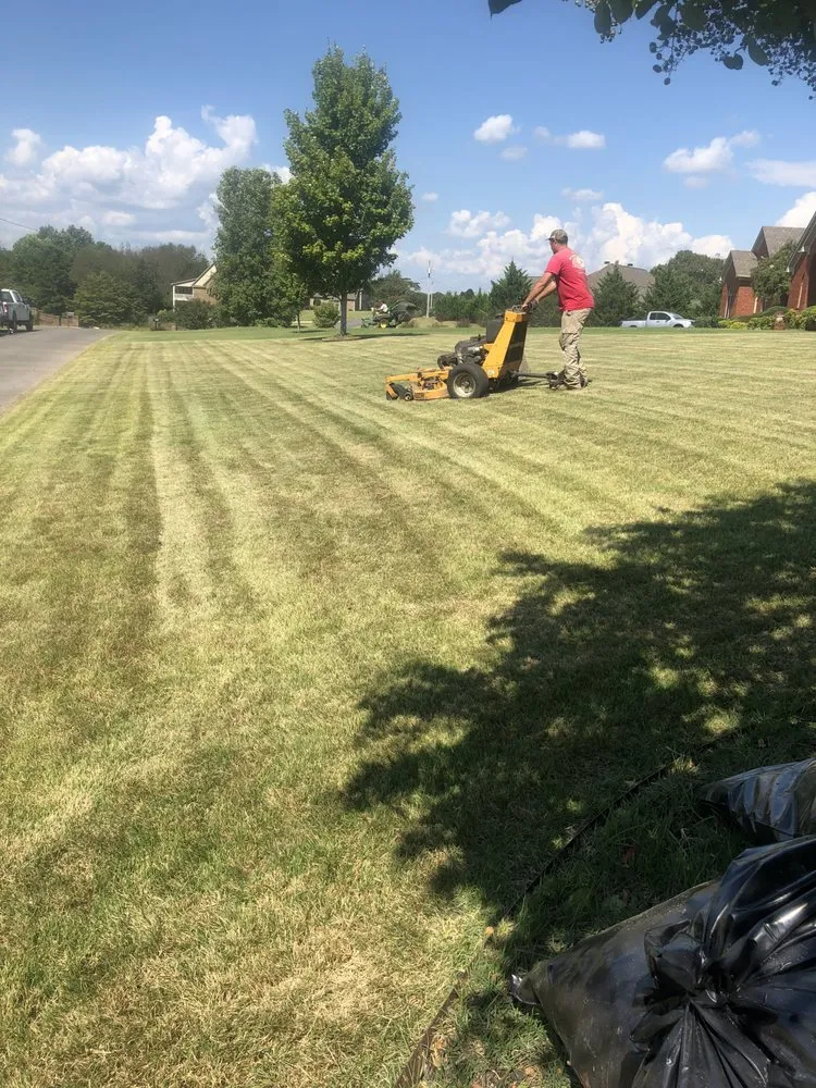 Expert yard cleanup service in Hampton cove, AL - Groundwork’s Lawn & Landscaping
