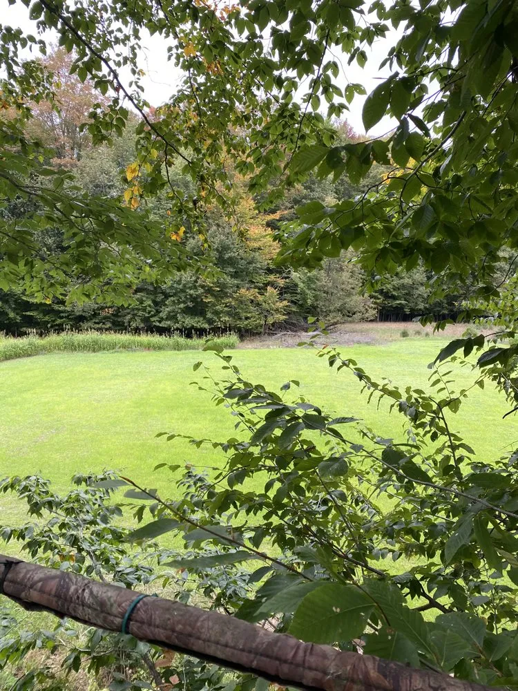 Expert yard cleanup service for outdoor upgrades in Ludington, MI by GroundWorks MI