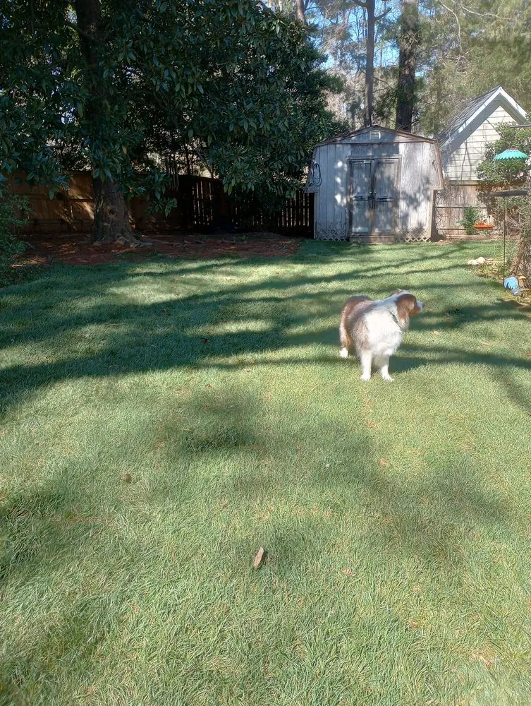 Top-rated landscape installation in Raleigh, NC - Groundworks Raleigh