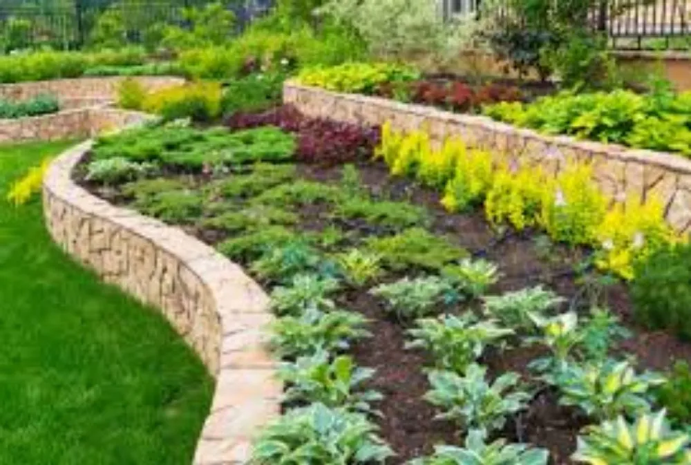 Local lawn care service experts serving Ocala, FL - Groundworx