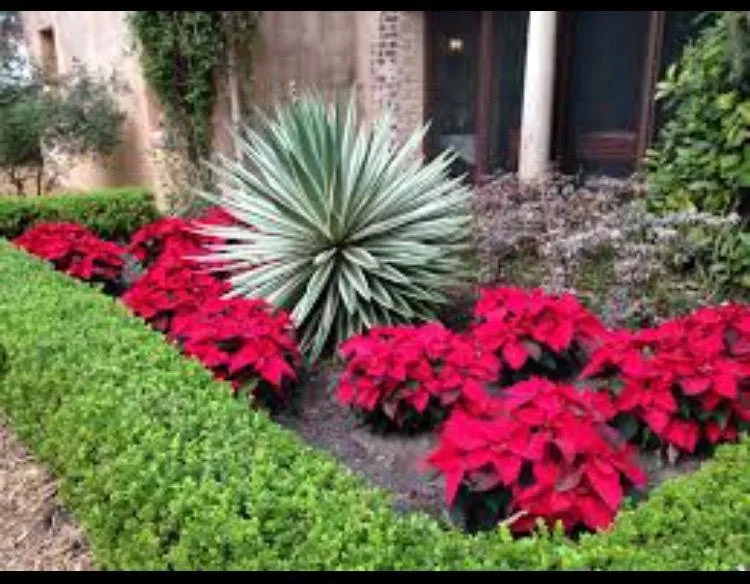 Professional yard cleanup service in Mcdonald, TN by Groundzero Landcare & Design