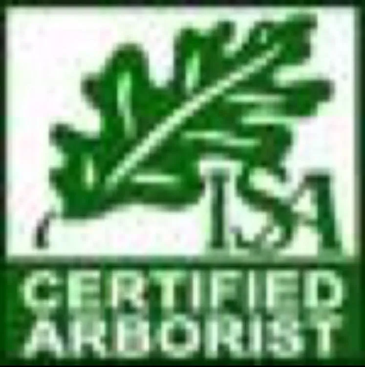 Affordable lawn care service experts serving Mcdonald, TN - Groundzero Landcare & Design