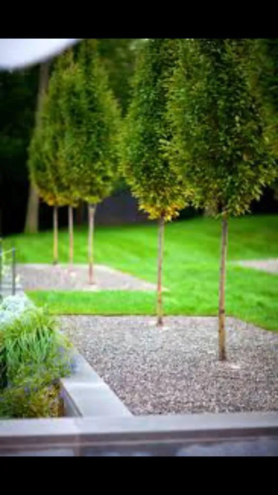 Local yard maintenance in Mcdonald, TN by Groundzero Landcare & Design